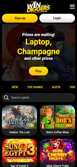 Win Diggers Casino Site Testimonial